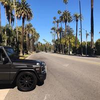 Отзыв от Леонид - DTV виза